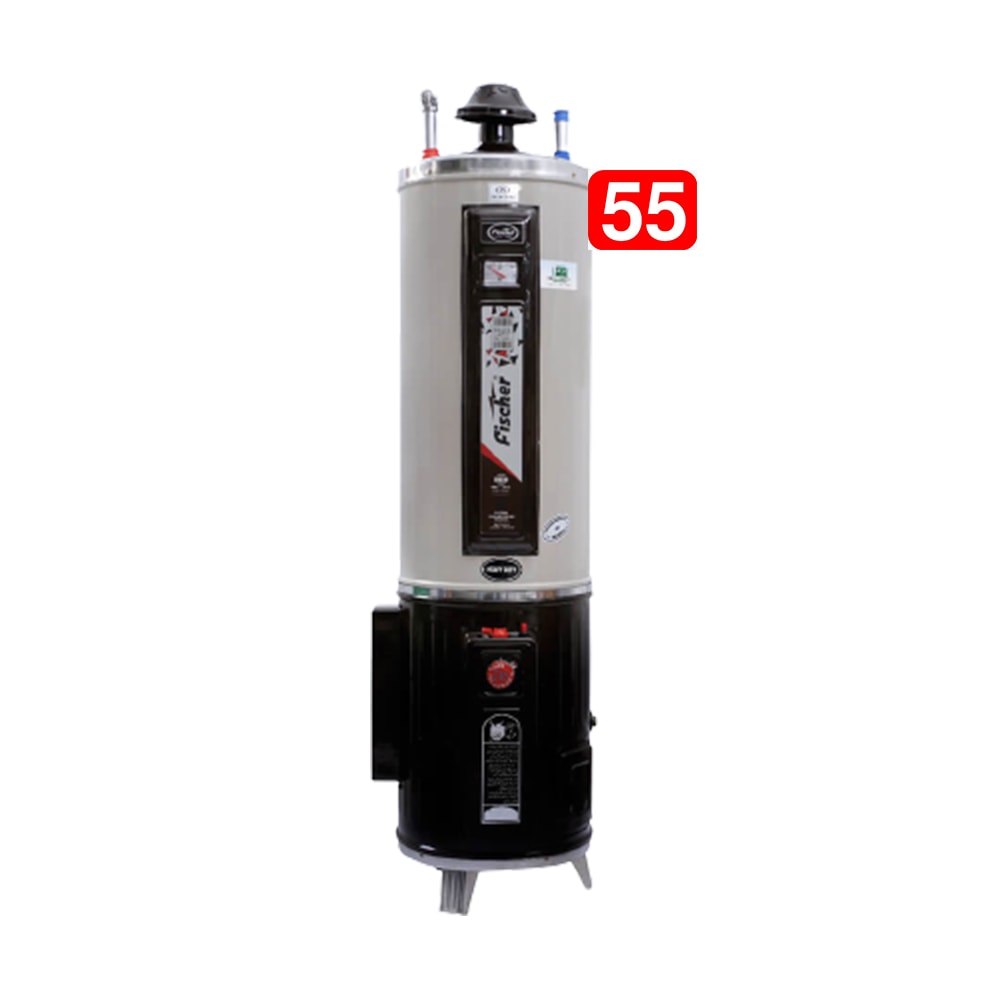 Fischer Hybrid Geyser 55 Gallon/200Ltr (Electric+Gas), Deluxe Series, Imported Glass Wool, Auto Ignition